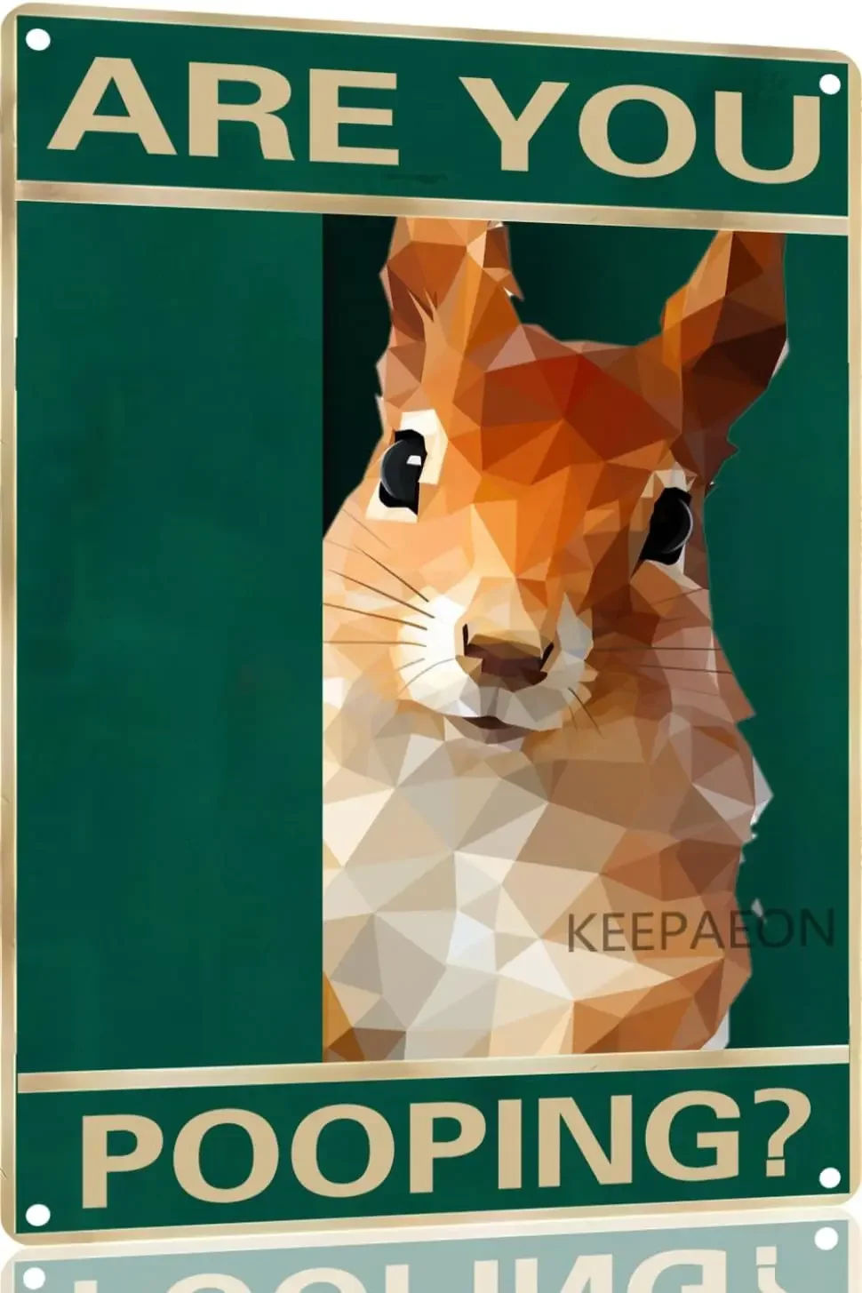 Divertido ardilla estás caca, carteles de aluminio de 12x8 pulgadas, decoración de pared de baño de granja Vintage, regalo para hombre, cueva, decoración del hogar M