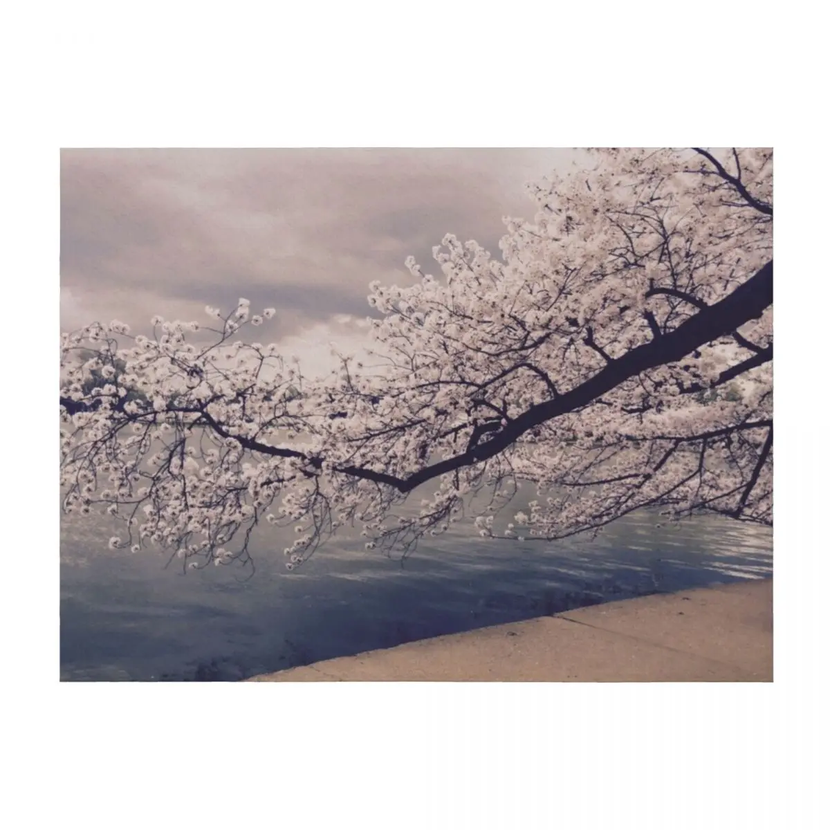 بطانية رمي فرع زهر الكرز الفاخرة St رمي كبير جدًا للبطانيات المخصصة للأريكة المزخرفة #2