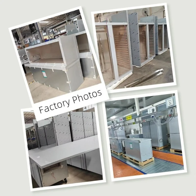 Customized Commercial Refrigerators Freezers Refrigeration Equipment Reach in Refrigerator Freezer Fridge Catering Equipment