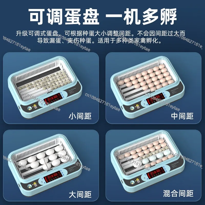 Small household incubator, fully automatic incubator, intel-ligent rutin chi-cken,