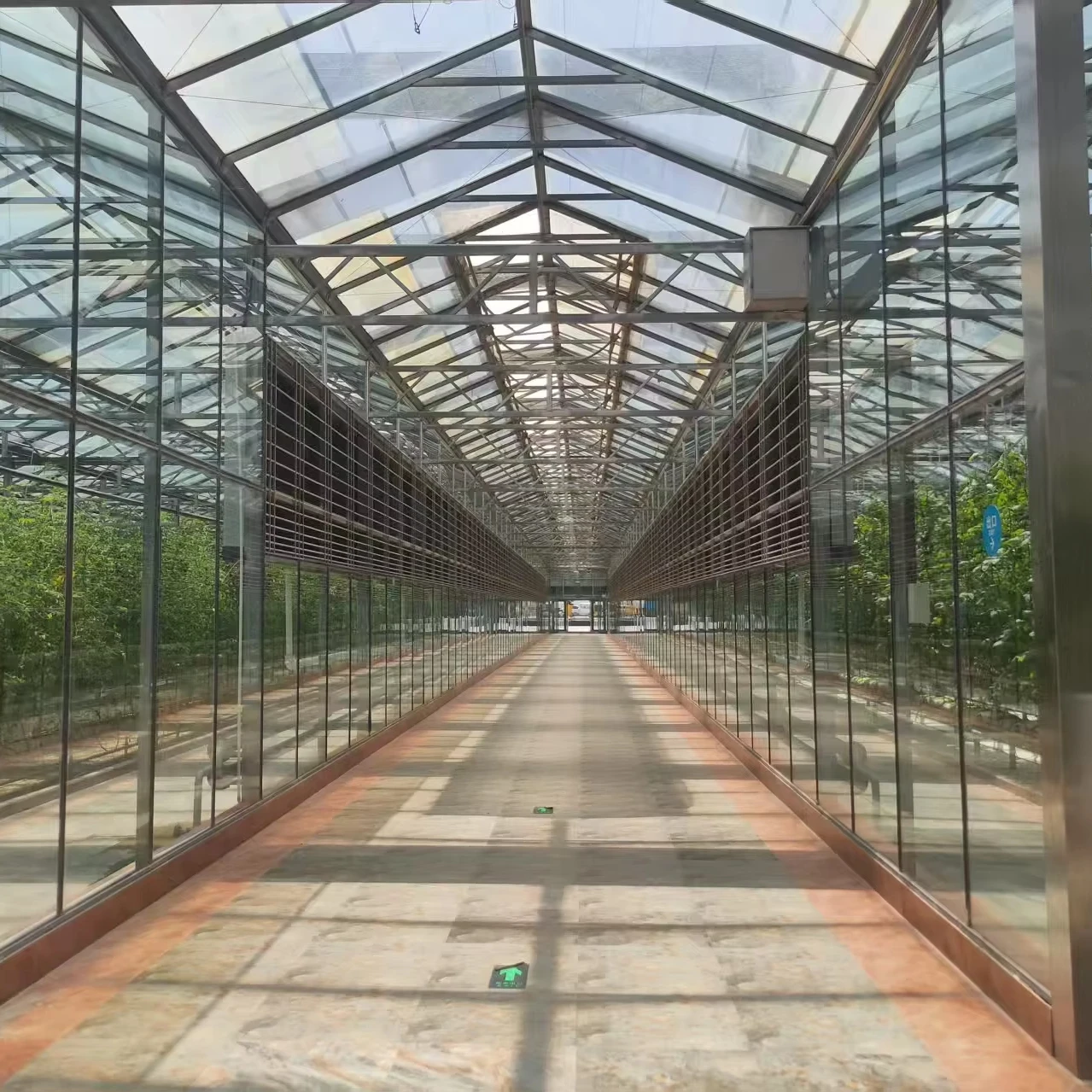 

Customized greenhouseAgricultural Commercial Multispan Glass Greenhouse for fruit tomato cucumber pepper vegetables Growing