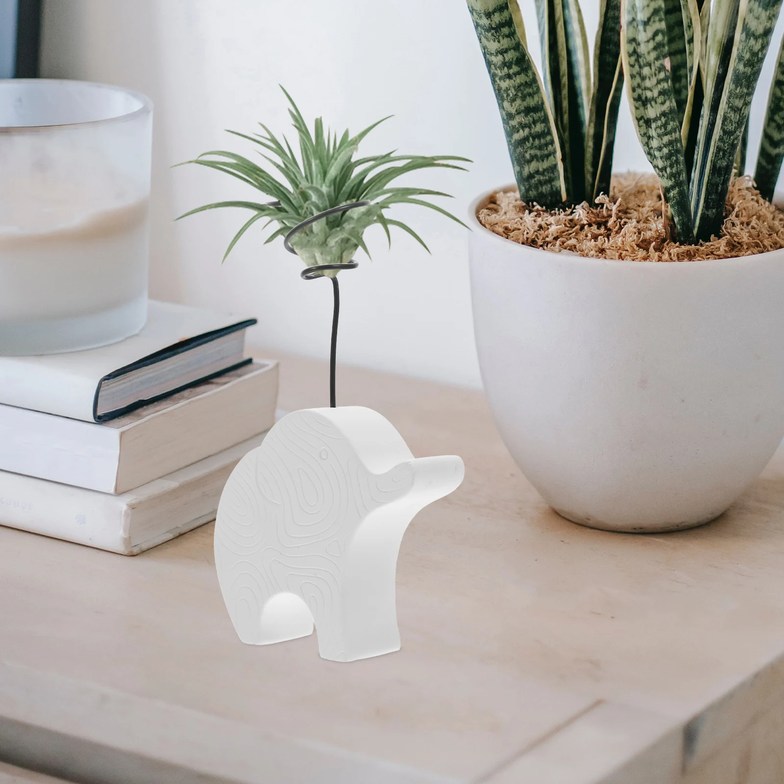 ที่วางต้นไม้ปูนซีเมนต์ดีไซน์สร้างสรรค์สำหรับต้นไม้เขตร้อน ตกแต่งสวนในร่มสไตล์โมเดิร์นมินิมอล ชั้นวางโชว์สำหรับโต๊ะทำงานในสำนักงาน