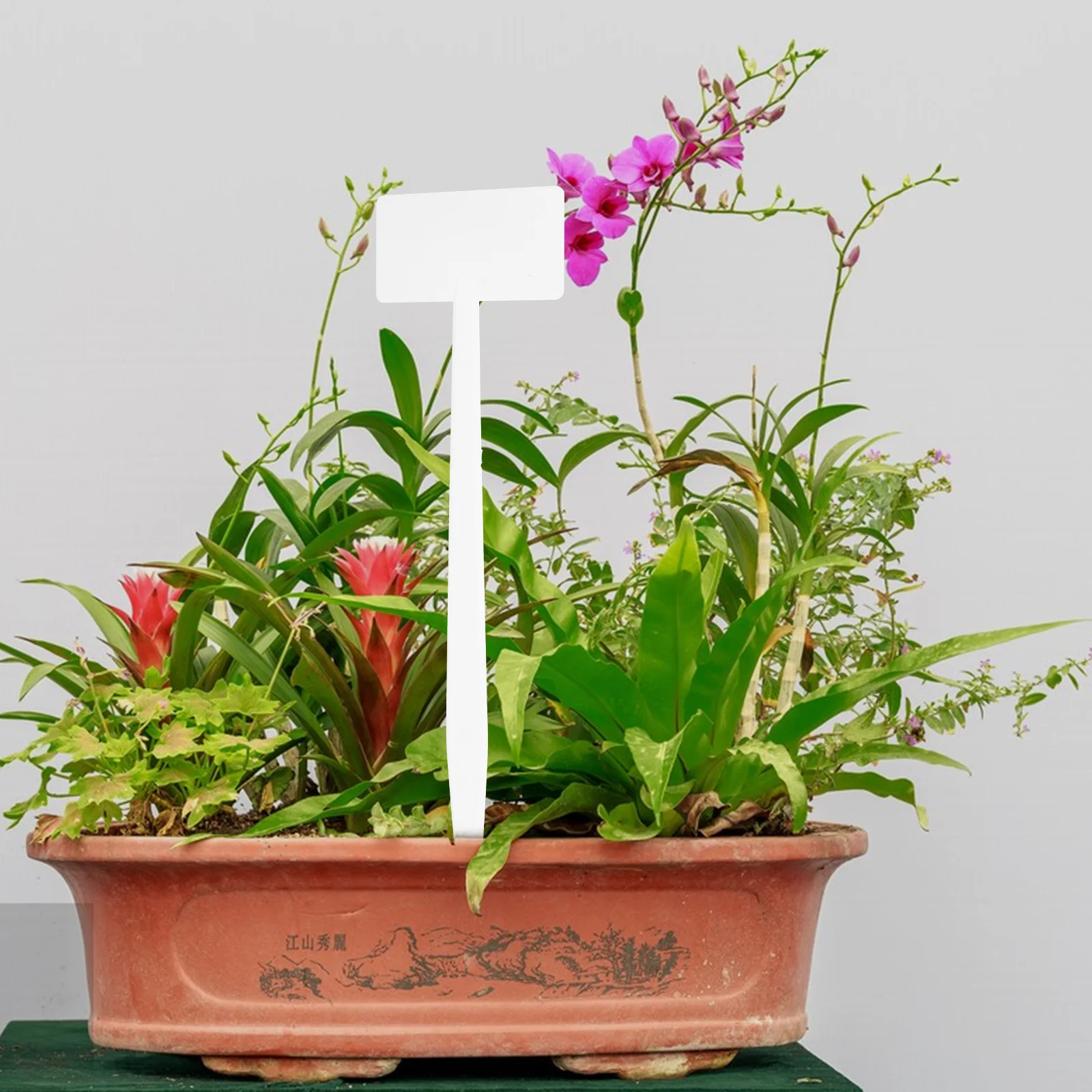 

20 Pcs 36cm Garden Labels Plant Tags Markers Decorative Plant Label Large Size Reusable T Shaped Decorative