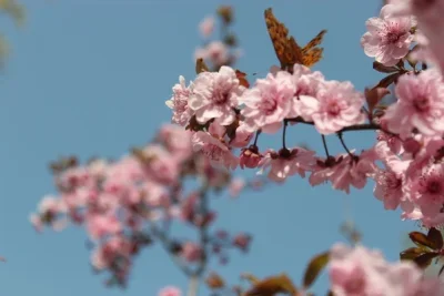 

Металлические аксессуары для модификации приводного вала, подходящие для радиоуправляемых машин C8815 C8835 H1 1/10, детали для модификации металлического моста.