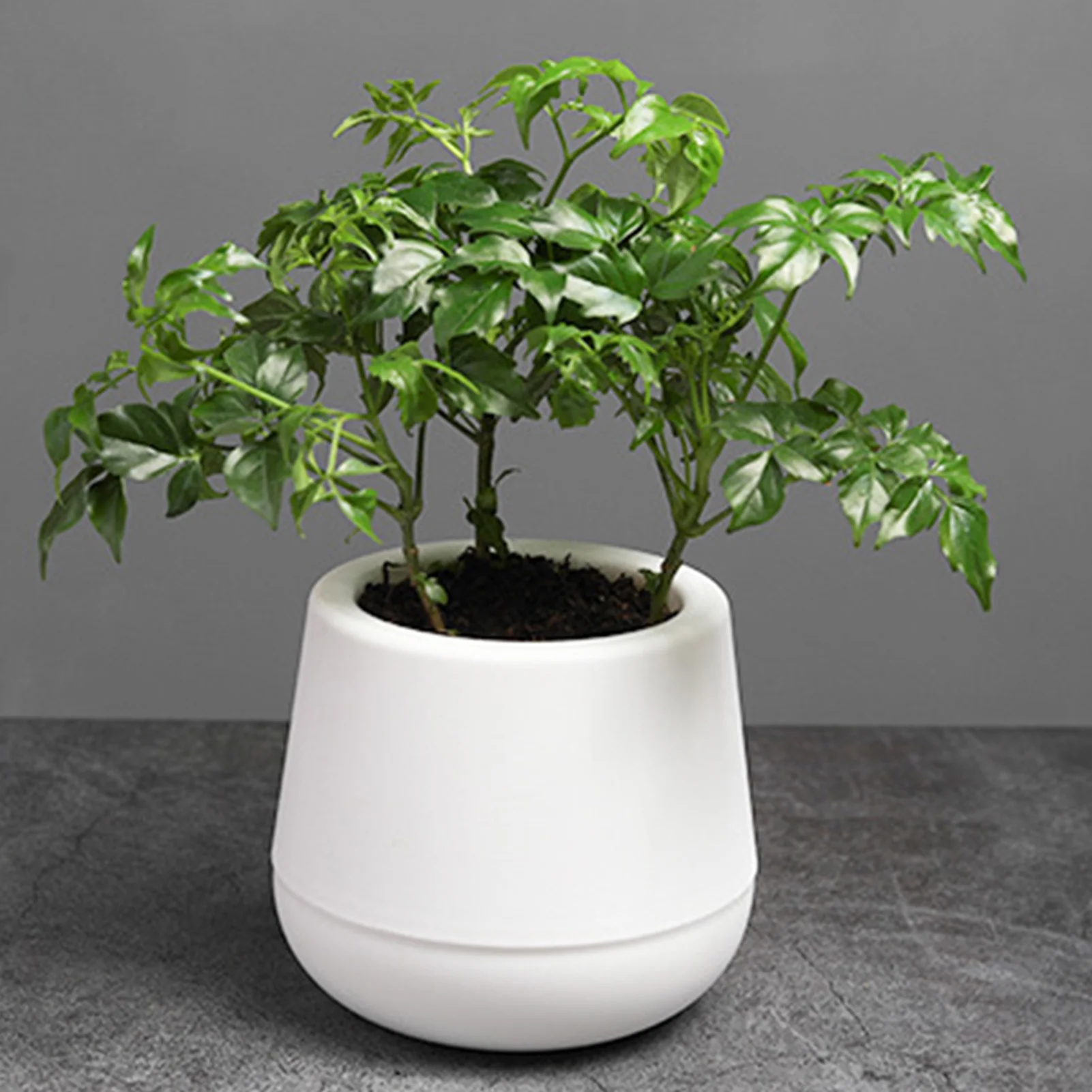 Hydroponic Flower Pot Lazy Flower Pot Plastic Self Watering Planter Flowerpot Garden Plants Basket Nursery Pots Home Decoration