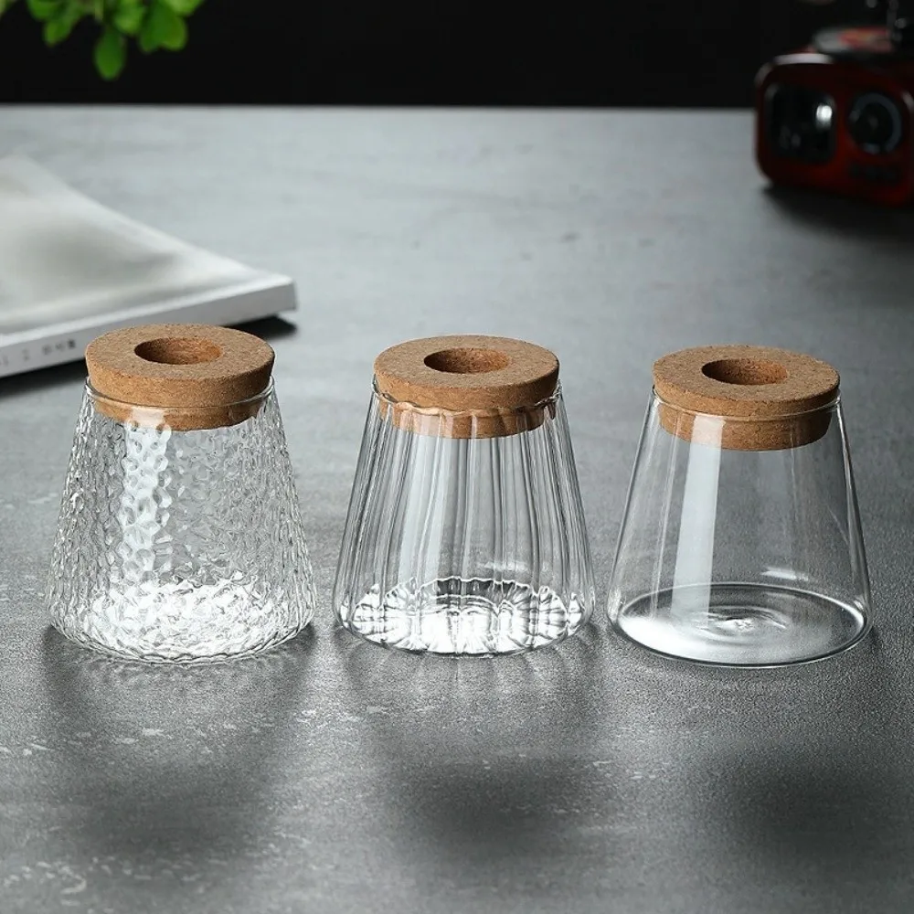 Mini Hydroponic Flower Pot Home Vase Decor Transparent Glass Soilless Plant Pots Tabletop Garden Pots Planters Home Decoration