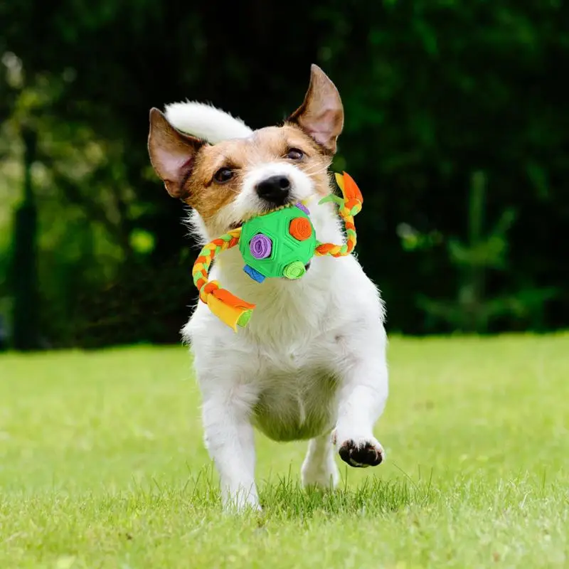 علاج الكلب إخفاء لعبة Snuffle الكرة التفاعلية وحدة التغذية البطيئة علاج لعبة بطيئة الغذاء التدريب شم الكرة الكلب رائعة مريحة