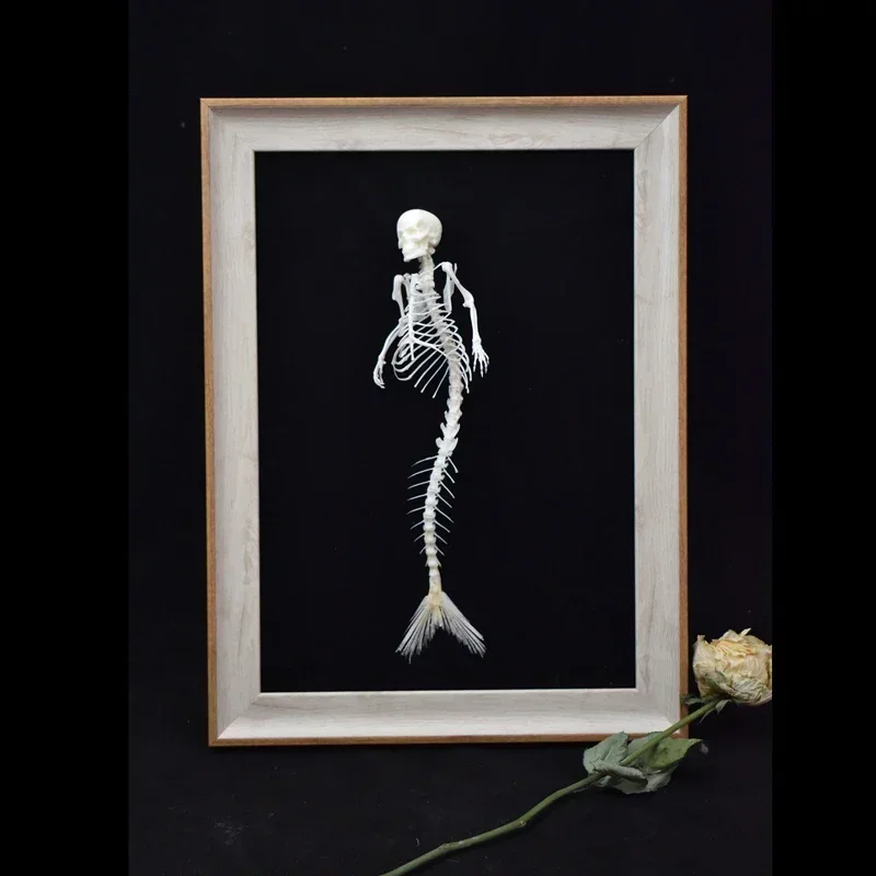 2012 Mythical Mermaid Skeleton Art Oceanic Bone Sculpture Aquatic Mythology Display Curio Cabinet Gothic Sea Decor Artisan