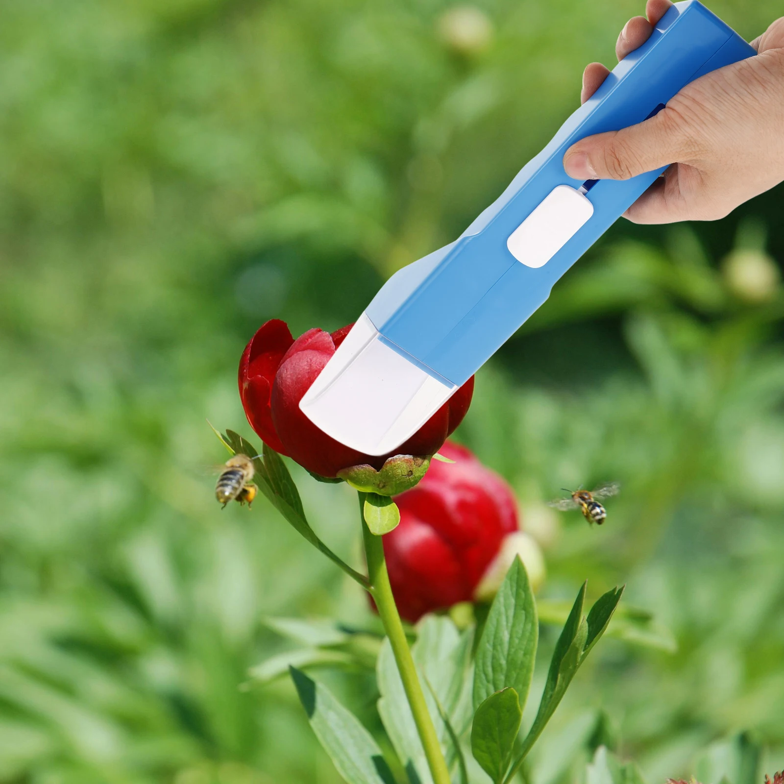 

Insect Trap Spider Catcher for Handheld Catching Insects Tool Bug Catchers Convenient Child