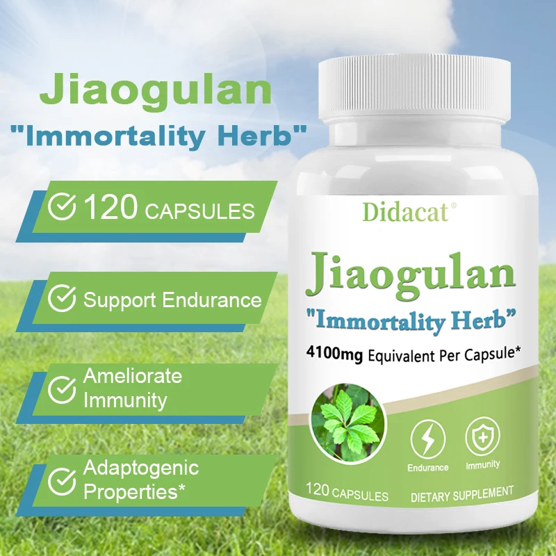 Jiaogulan 410 Mg 120 Vegetarian Capsules (Extract 10:1, Vegan, Non-GMO and Gluten-Free)