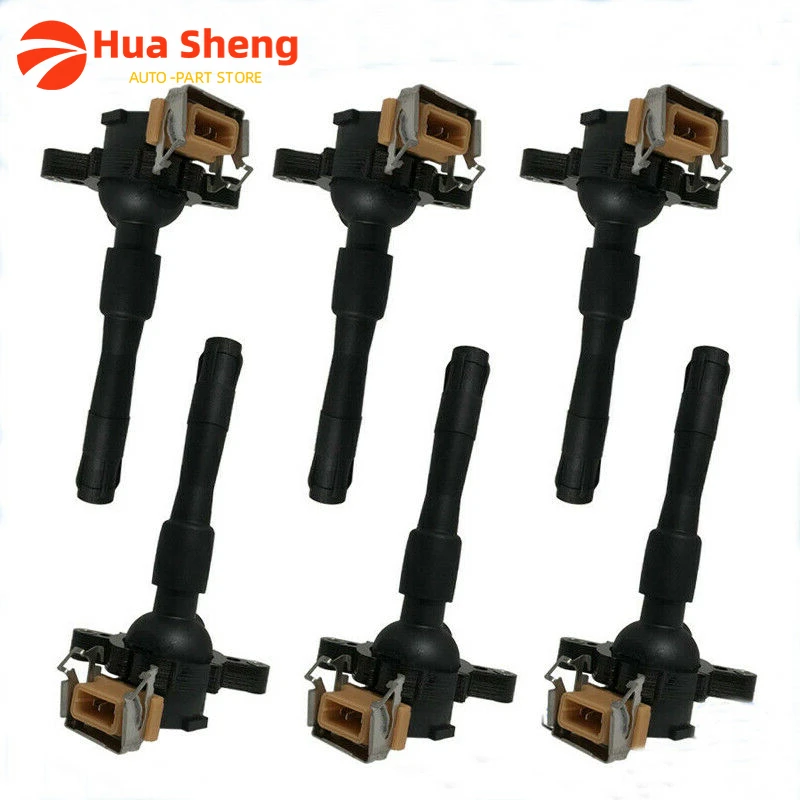 

12139067830 0221504029 6 PCS Ignition Coil For BMW E36 E46 E60 E39 E38 E52 E53 X5 4.4i 4.6is M62 4.4L Z8 S62 12131703227