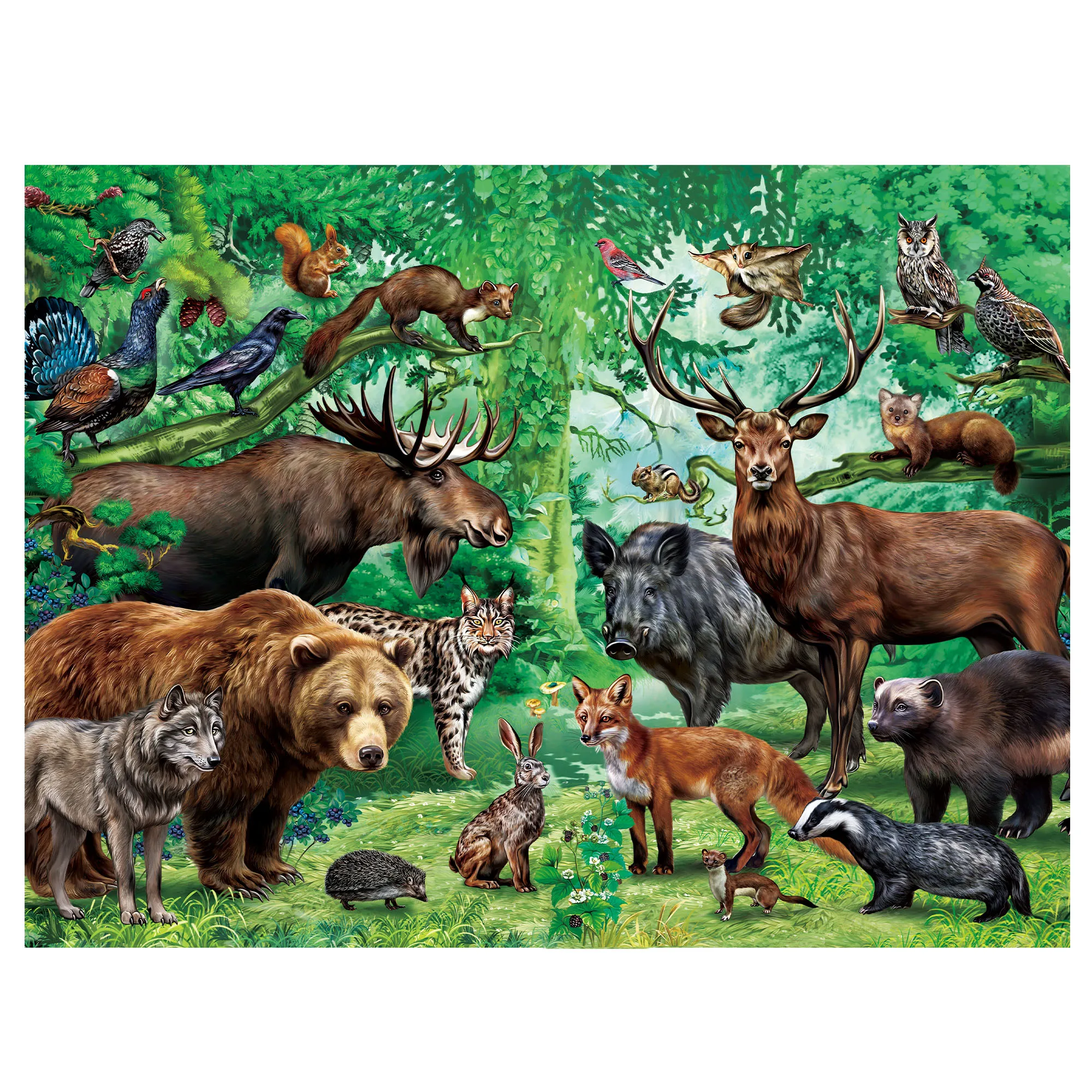

Puzzles for Kids Ages, Double Sided 100 Piece Puzzles, 2 in 1 Puzzle, Wild Animals, Learning Educational Jigsaw Puzzles Toys