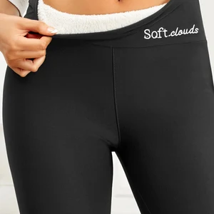 kadınlar için 1/3 adet kış kadife tozluk-açık havada, soğuk önlemek, sıcak, tayt kadınlar casual slim streç pantolon kalın ve süper sıcak Pantolonun ve belin ilk 10 satışı süper yüksek - №6