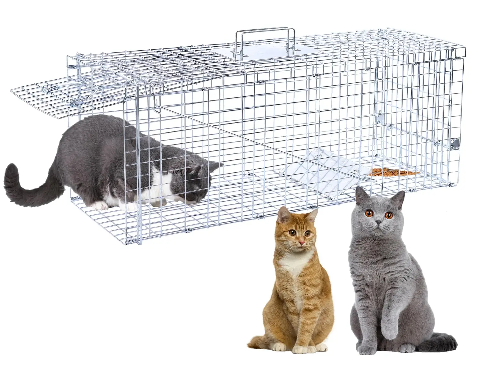 Humane Animal Trap, Live Animal Trap Cage for Stray Cats Raccoons, Squirrels, Rabbits, Moles, Groundhogs, Armadillos, Galvanized