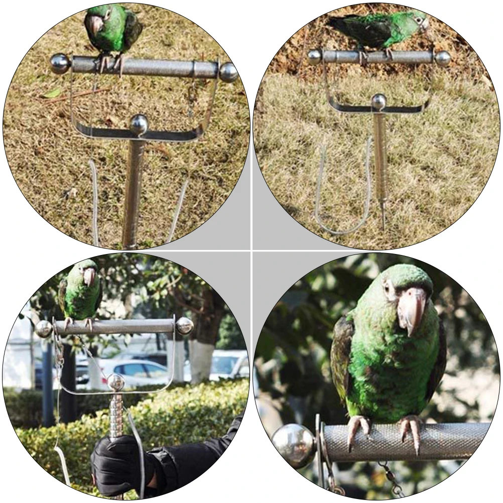 Parrot St Stainless Parrot St Steel H held Rack Portable Perch Cage Stainless Rack Nest Training Durable Fun Play