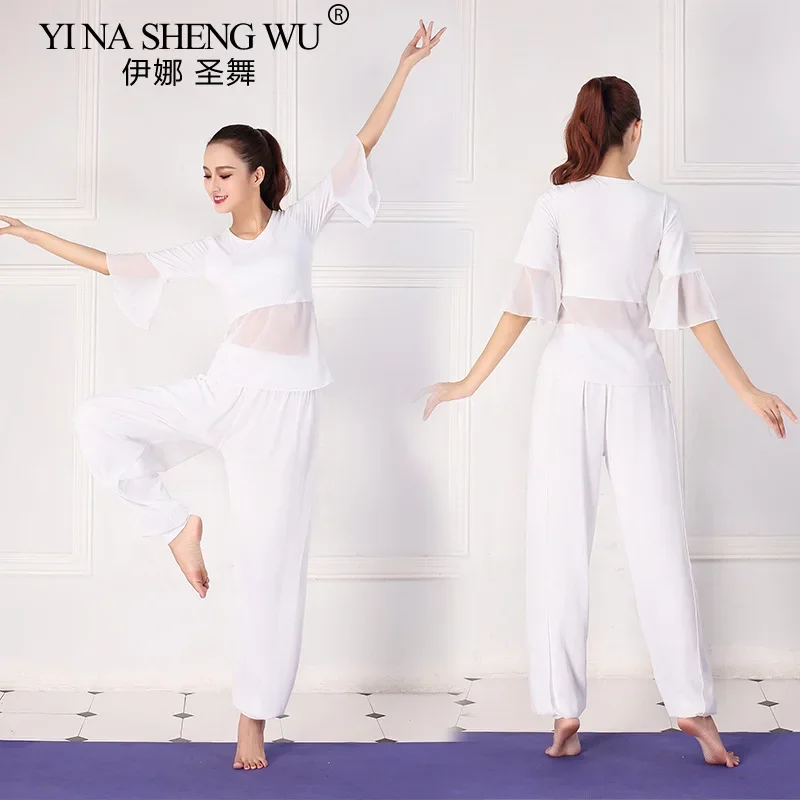 

Женский костюм для танца живота, комплект из двух предметов, одежда для йоги, женский наряд для выступлений, белый сетчатый шифоновый топ, брюки, одежда для восточных танцев