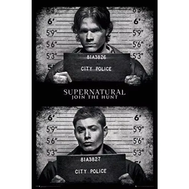 126 Home Decor Supernatural - TV Show Sam & Dean - Mugshots-Silk Art Poster Wall Art Home Decoration Gift