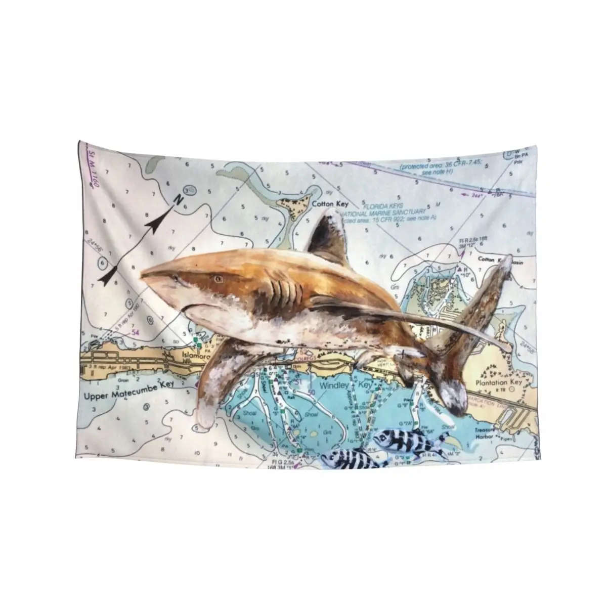 

Oceanic Whitetip painting Tapestry Decoration Pictures Room Wall Aesthetic Home Decor Room Decoration Korean Style Tapestry