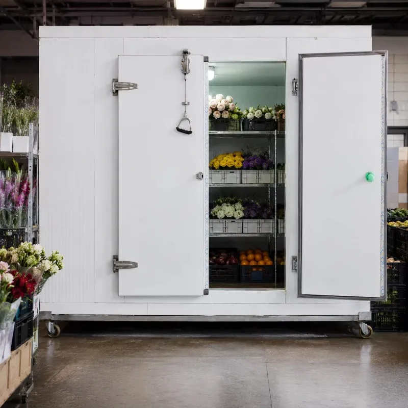 Walk in Freezer Manufacturer with 380V 50Hz Cooling System for Seafood Processing Plant and Frozen Food Storage