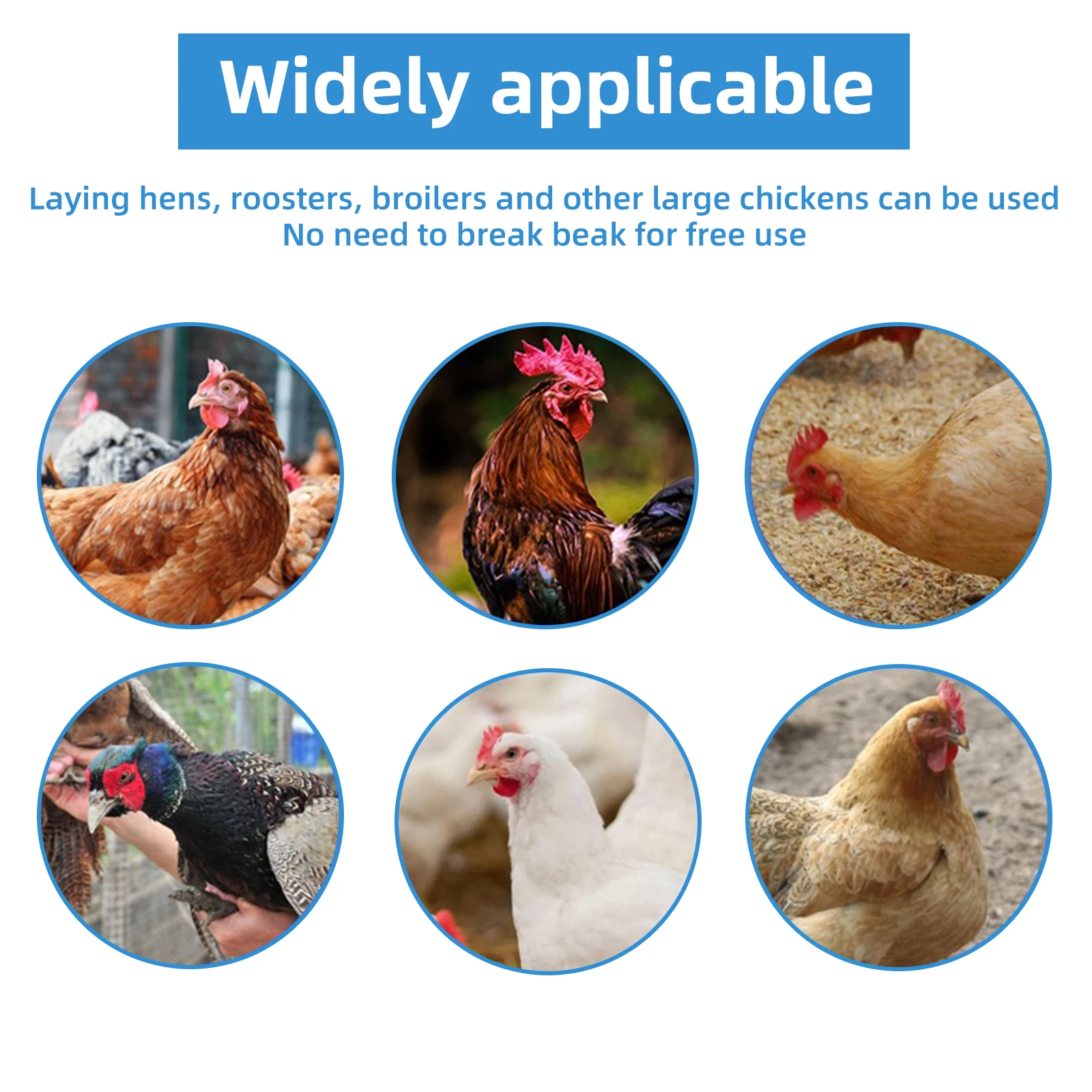 50/100 قطعة S/L/M البلاستيك لا الترباس نظارات الدجاج الدجاج حمامة الدراج مكافحة الانتقاء نظارات لوازم الدواجن