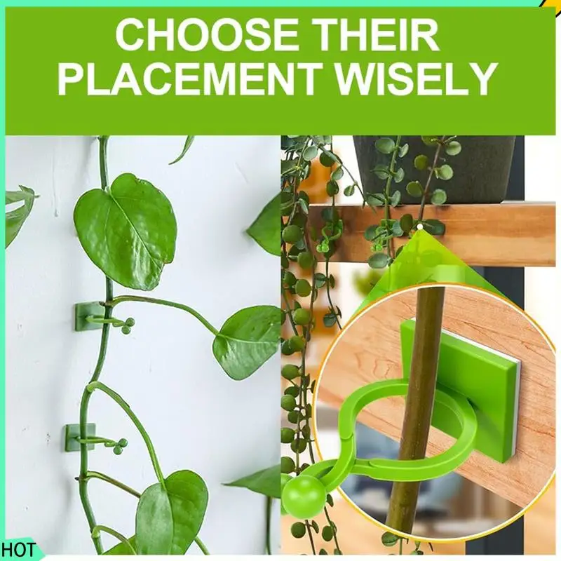 

AWAH 300 шт., настенные зажимы для скалолазания, настенные зажимы для растений, настенные зажимы для растений, настенный крючок для поддержки растений для вьющихся растений на открытом воздухе