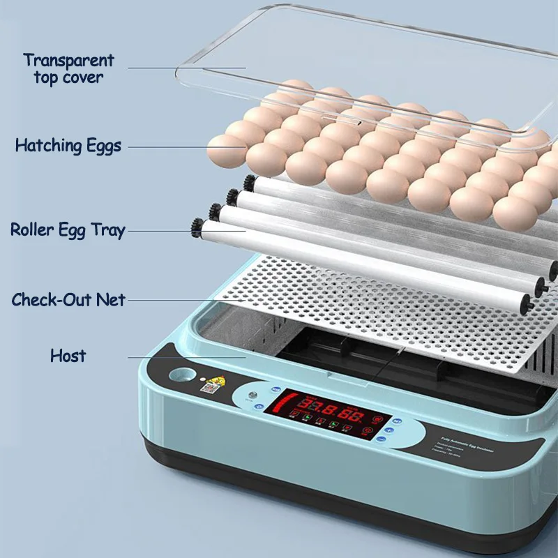 Home Use Fully Automatic Smart Incubator One Key Hatching Machine for Chicken Duck Auto Turning Moisturize High Hatching Rate