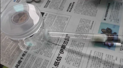 1PCS Simple Ant Nes… - image