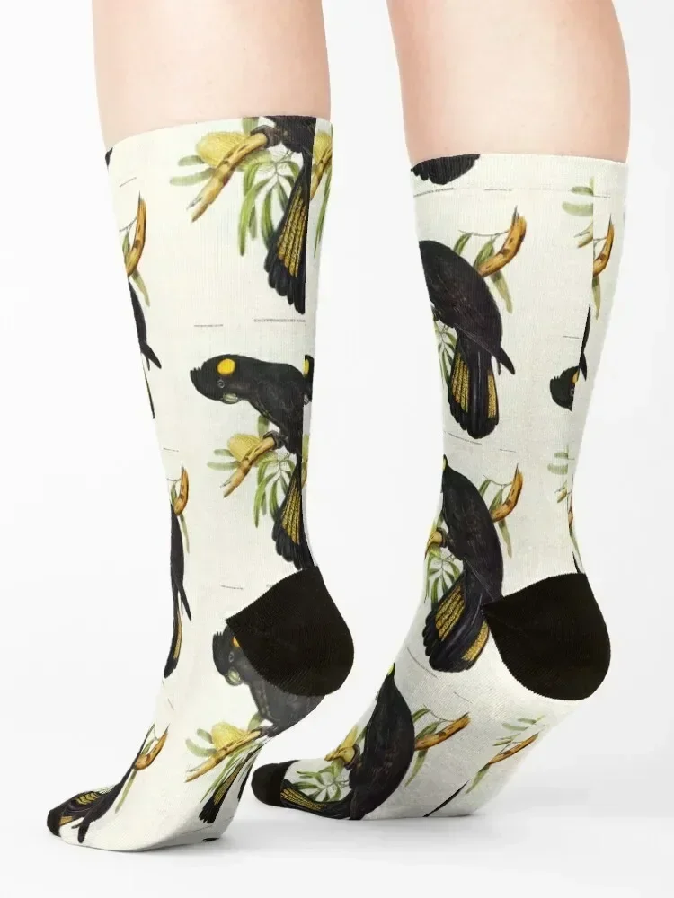 جوارب كوكاتو سوداء للكاحل للهالوين للأطفال جوارب كروسفيت للنساء والرجال #4