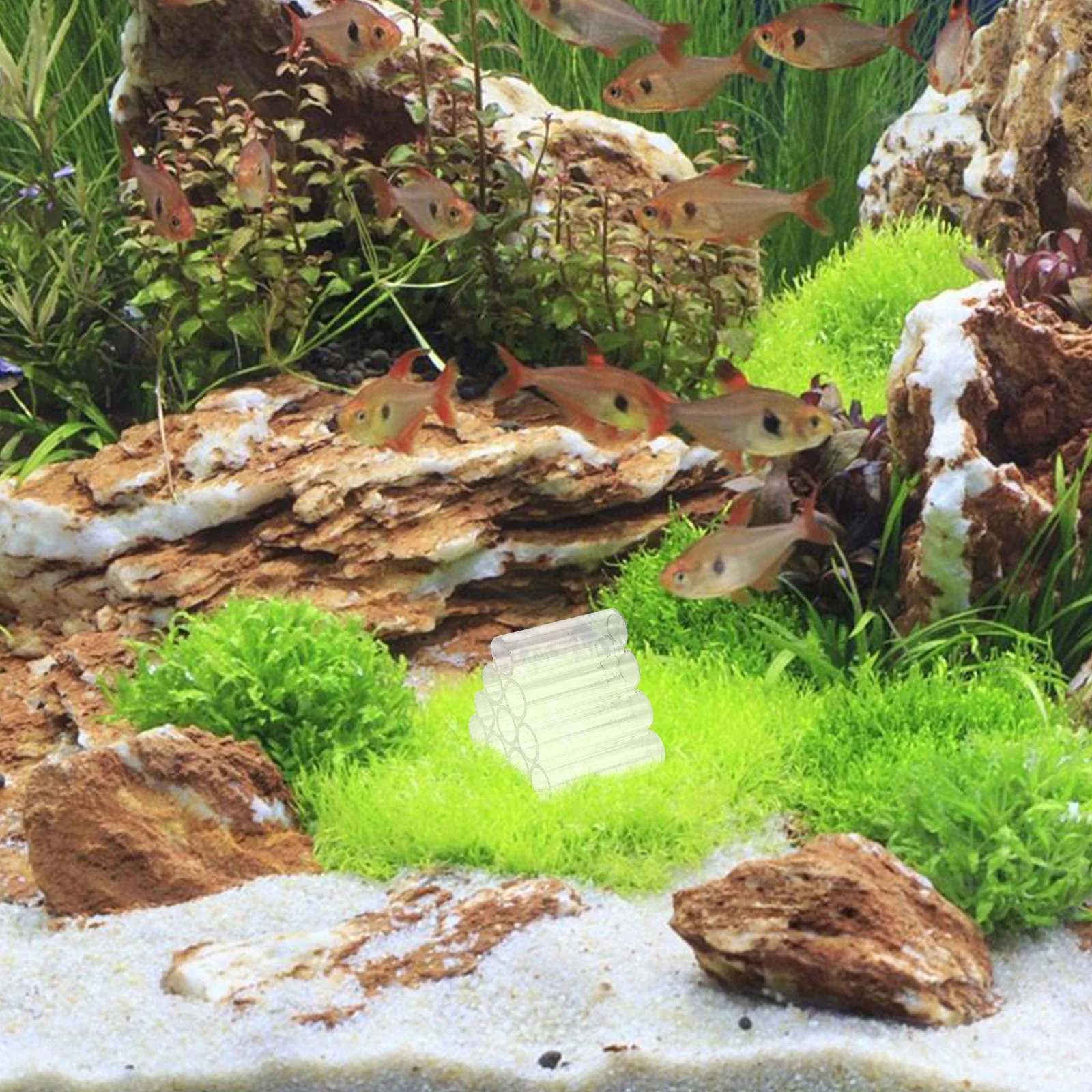 

Crystal Shrimp Shelter Acrylic Fish Breeding Tube Aquarium Fish Tank Hideout Cave Shelter Decoration 10-Hole Tube Spawning