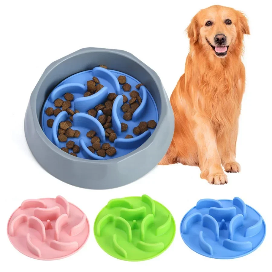 Filles Multifuncional Facile À Nettoyer Pour Aliments Lents Pour Animaux De Compagnie, Alimentation Pour Chat Et Chien