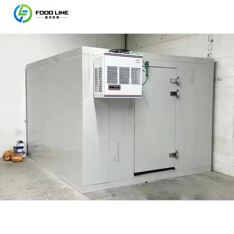 Mini Cold Storage Modular Kitchen Cooler and Freezer Walk Customized
