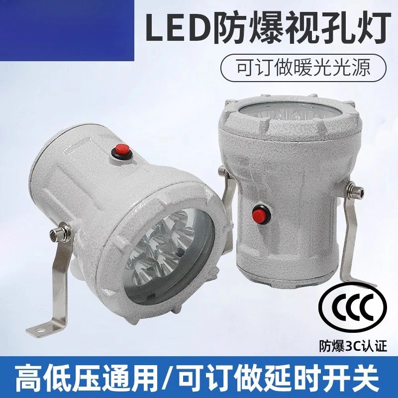 

LED Explosion-proof Sight Hole Light Reactor Sight Mirror Light BSD Spotlight 12v24V36V Chemical Factory Workshop