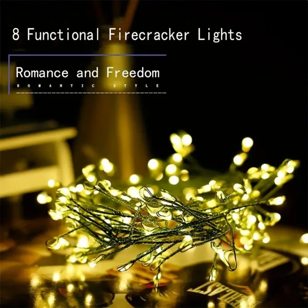 3/6/9M USB Green Wire Firecracker Fairy Lights, Copper Wire String Lights with Remote Control, Indoor Christmas Party Decoration