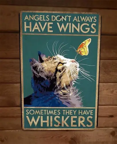 Angels Dont Always Have Wings  8x12 Metal Wall Sign Cat Animal