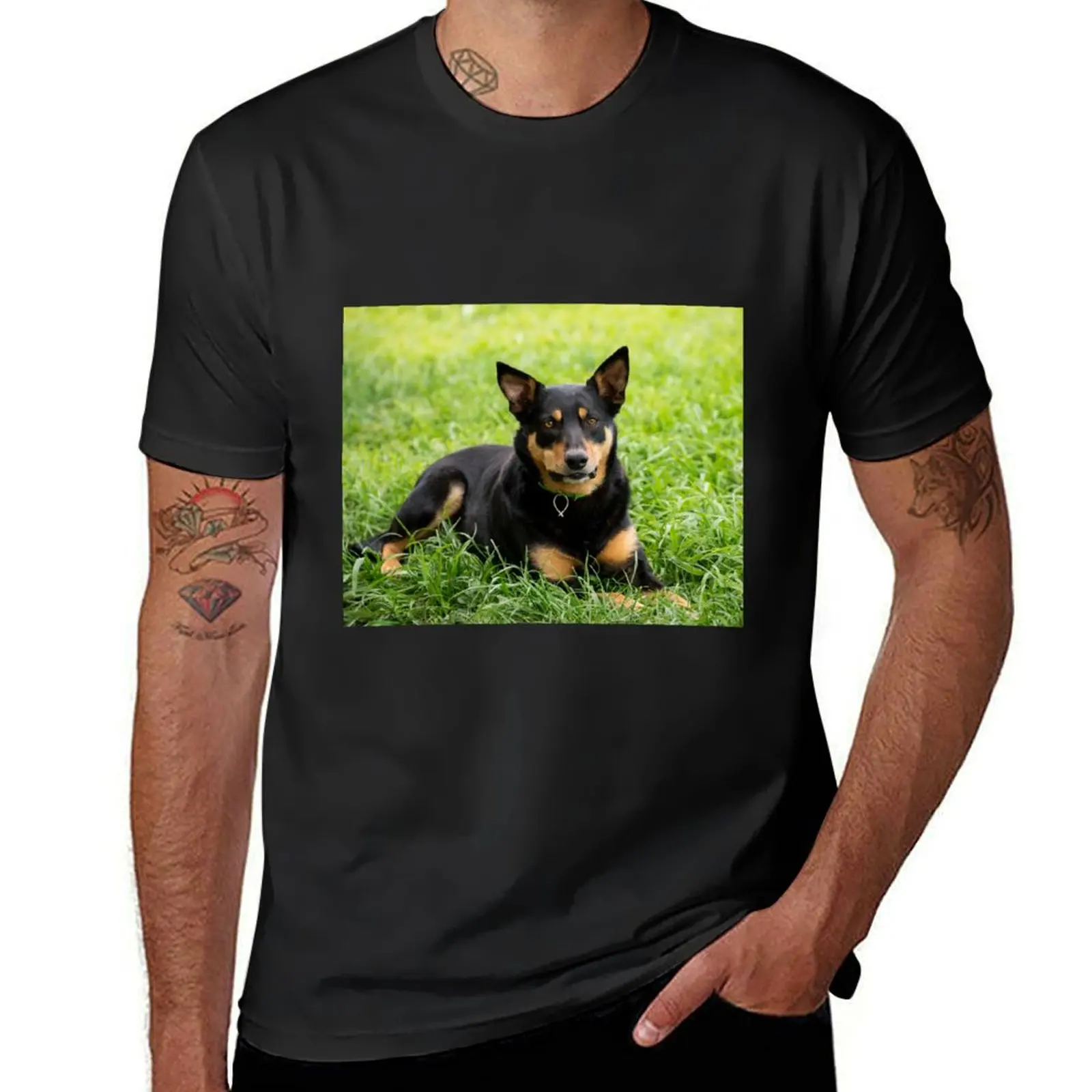 

Australian Kelpie T-Shirt blacks sports fans korean fashion mens tall t shirts