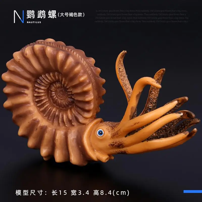 Simulatie Plastic Zeedier Speelgoedfiguren Nautilus, koning Spider Heremietkreeft Zeeleven Dieren Model Collectie Speelgoed