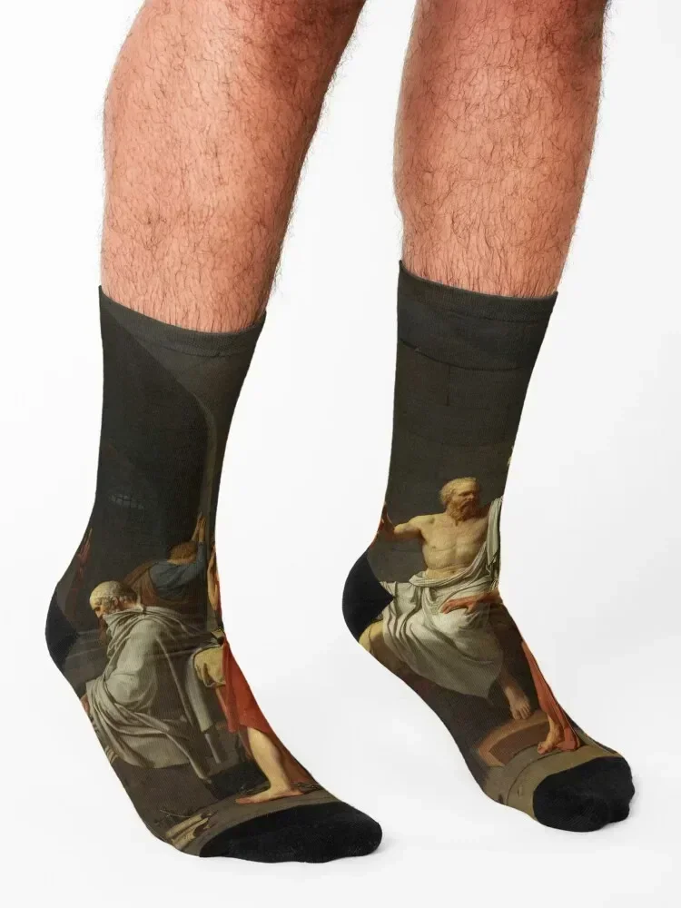 Jacques-Louis David Death of Socrates Socks Stockings aesthetic cool happy Ladies Socks Men's