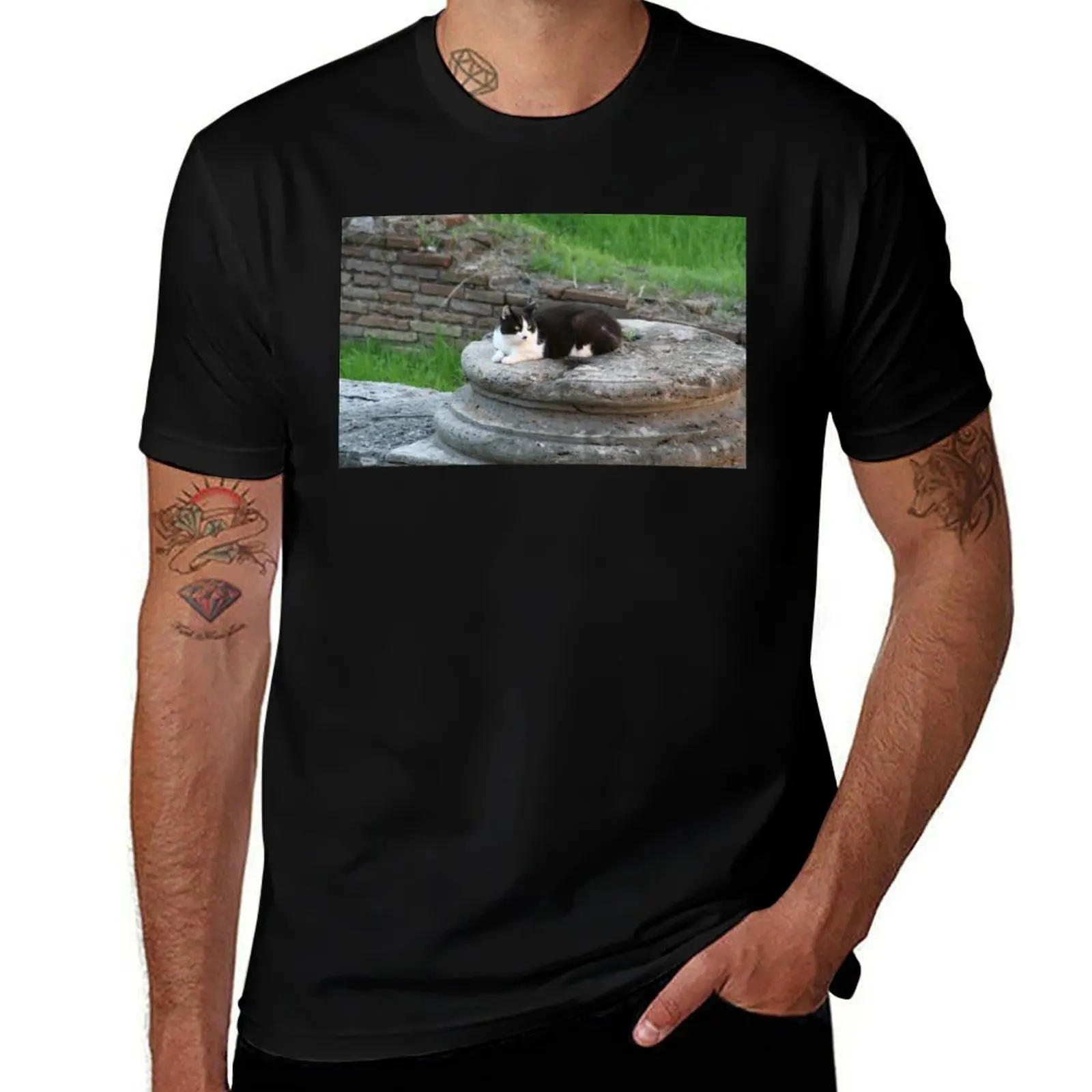 Archaeologist Cat Resting on a Roman Column T-Shirt Fitness Quick Dry Short Sleeve Top T-Shirt