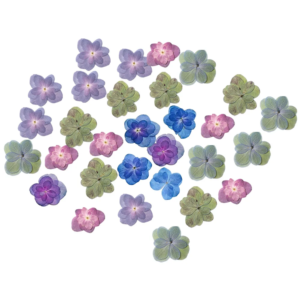 

30pcs Double Layered Hydrangea Dried Pressed Flowers Natural Real Flower Material For Diy Resin Craft Making Scrapbooking