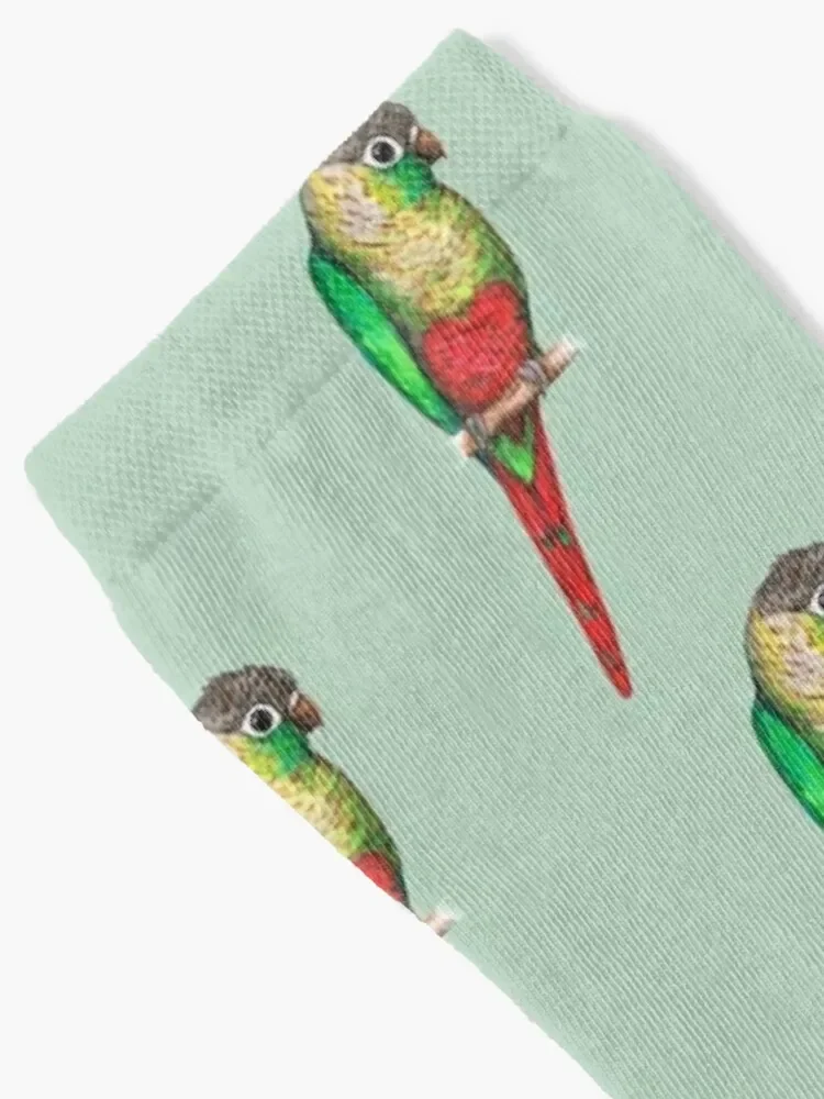 Conure with a heart on its belly Socks halloween christmas gifts Men's Men Socks Luxury Brand Women's