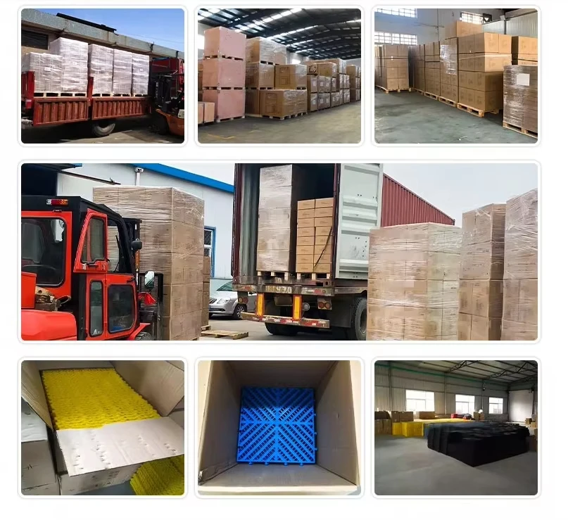 Рисунок 6 - Блокирующийся наземный коврик