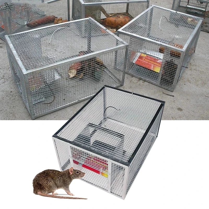 Household Continuous Mousetrap Large Space Automatic Rat Snake Trap Cage Safe And Harmless High Efficiency Mouse trap