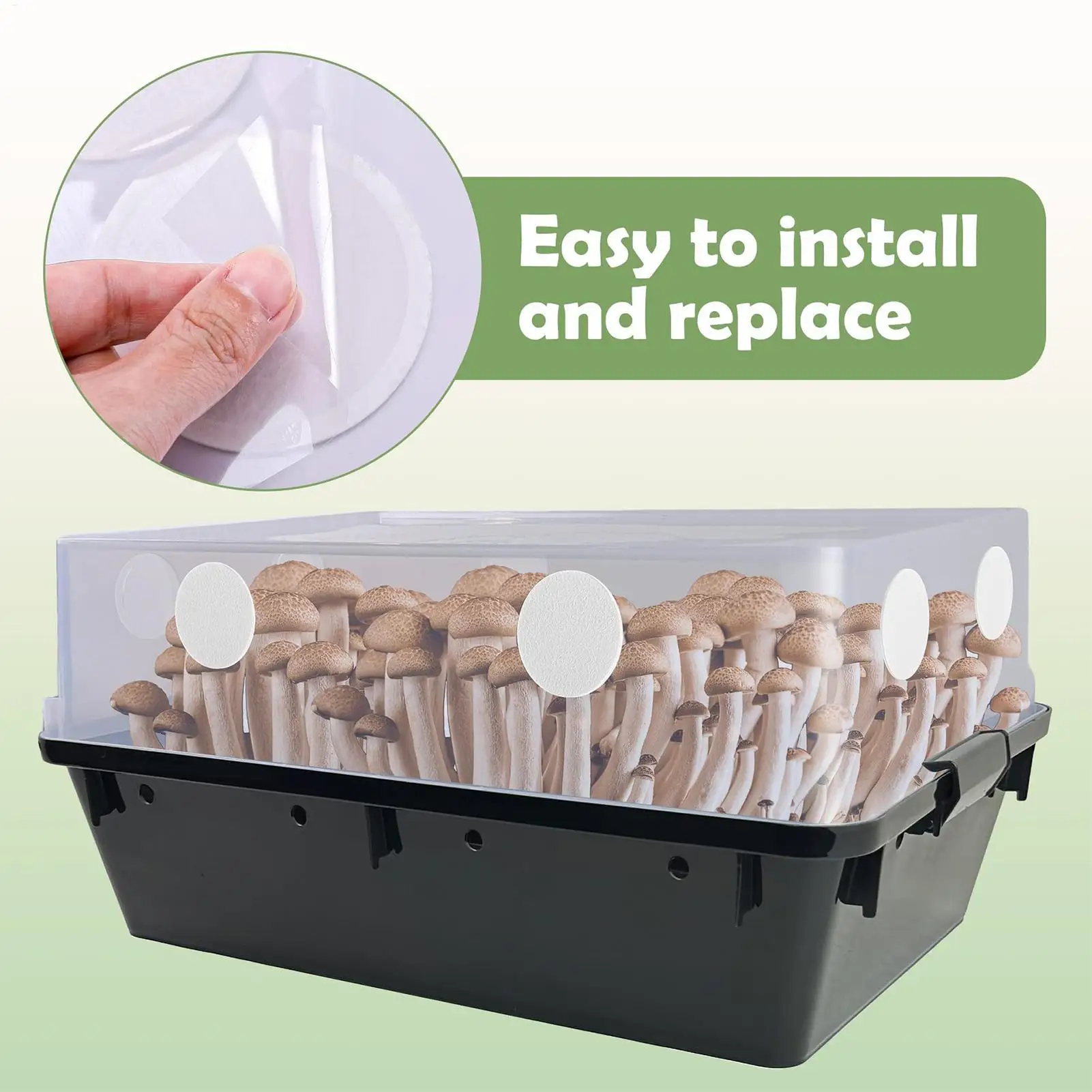 Mushroom Filter Discs 24X Mushroom Adhesive Filter Discs Cotton Pad Screen for Humidity Retention Moisture Preservation Indoor