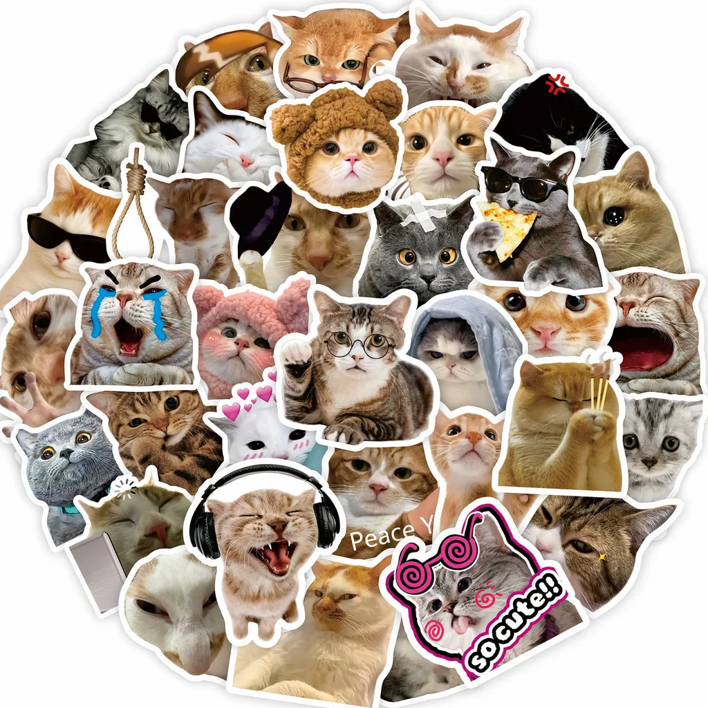 100 pegatinas lindas y divertidas de gato Emoji, decoración para diario/cuaderno/funda de teléfono, grabación divertida DIY, tienda YourLife