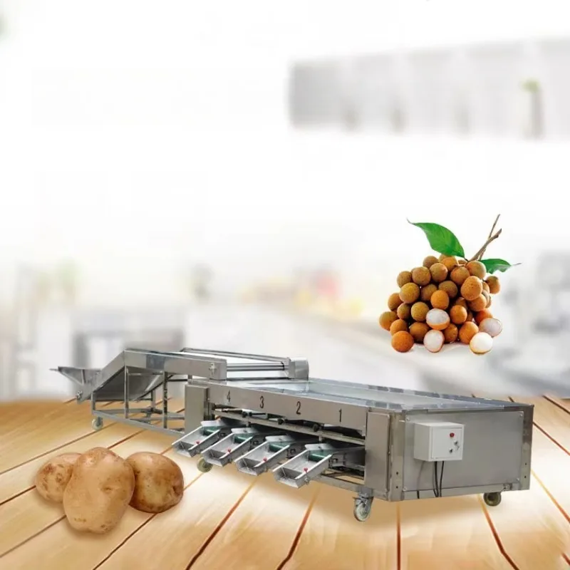 Vegetable/fruit Sorting Machine Potato Tomato Garlic Chili Pepper Onion Carrot Cucumber Mushroom Grading Machine