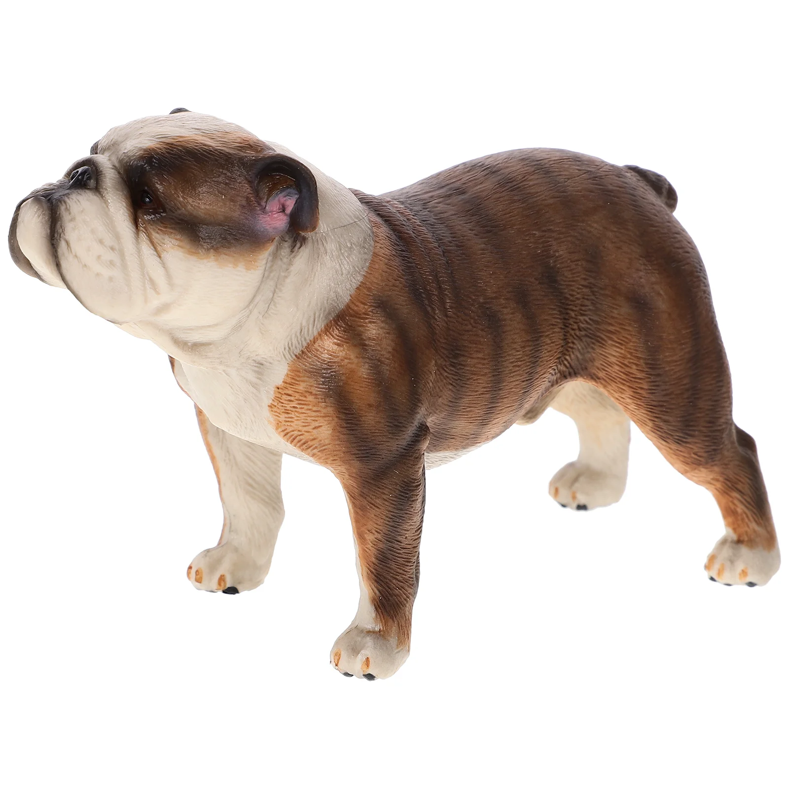 

Standing Bulldog Model Sculpture Toy Decoration Decorate Decorative Statue Child Puppy