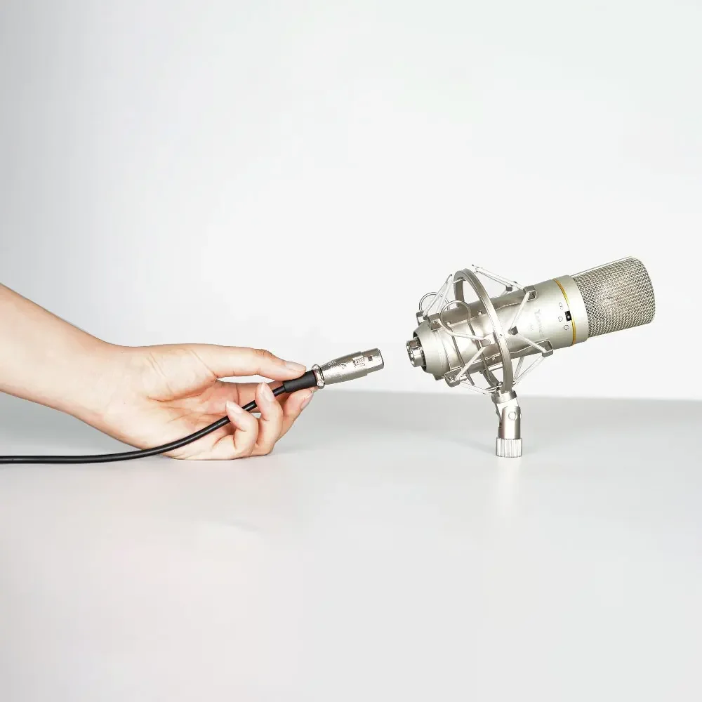 YR01 XLR Condenser Microphone Professional Recording Microphone Music Create Broadcast studio microphone