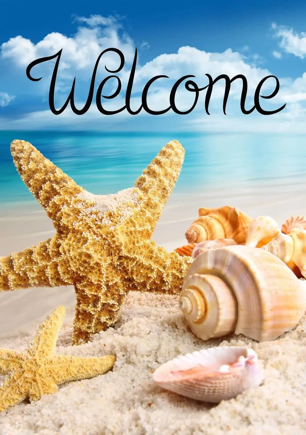 ΠΠ΅ΡΠ½ΡΡ ΠΌΠΎΡΡΠΊΠ°Ρ Π·Π²Π΅Π·Π΄Π° Π Π°ΠΊΡΡΠΊΠ° Π½Π° ΠΏΠ»ΡΠΆΠ΅ ΠΠΎΡΡΠΊΠΎΠΉ ΠΎΠΊΠ΅Π°Π½ Π’ΡΠΎΠΏΠΈΡΠ΅ΡΠΊΠΈΠΉ ΠΌΠΎΡΡΠΊΠΎΠΉ ΡΠ°Π΄ΠΎΠ²ΡΠΉ ΡΠ»Π°Π³ 12 x 18 Π΄ΡΠΉΠΌΠΎΠ² ΠΠ²ΡΡΡΠΎΡΠΎΠ½Π½ΠΈΠΉ Π΄Π²ΠΎΡ ΠΠΎΠΌ ΠΡΠΊΡΡΡΡΠΉ B VVJ ΠΠ΅ΡΠ½ΡΡ ΠΌΠΎΡΡΠΊΠ°Ρ Π·Π²Π΅Π·Π΄Π° Π Π°ΠΊΡΡΠΊΠ° Π½Π° ΠΏΠ»ΡΠΆΠ΅ ΠΠΎΡΡΠΊΠΎΠΉ ΠΎΠΊΠ΅Π°Π½ Π’ΡΠΎΠΏΠΈΡΠ΅ΡΠΊΠΈΠΉ ΠΌΠΎΡΡΠΊΠΎΠΉ ΡΠ°Π΄ΠΎΠ²ΡΠΉ ΡΠ»Π°Π³ 12 x 18 Π΄ΡΠΉΠΌΠΎΠ² ΠΠ²ΡΡΡΠΎΡΠΎΠ½Π½ΠΈΠΉ Π΄Π²ΠΎΡ ΠΠΎΠΌ ΠΡΠΊΡΡΡΡΠΉ B VVJ