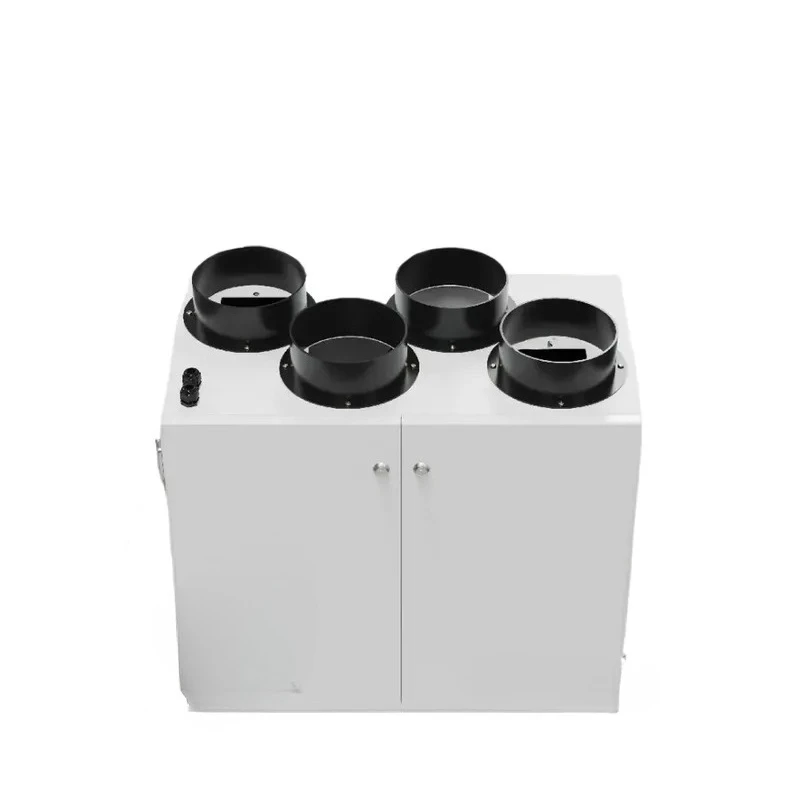 Modern Vertical Air Purification Equipment Ventilation Filter for Hospitals and Schools Using Dehumidifiers Commercial