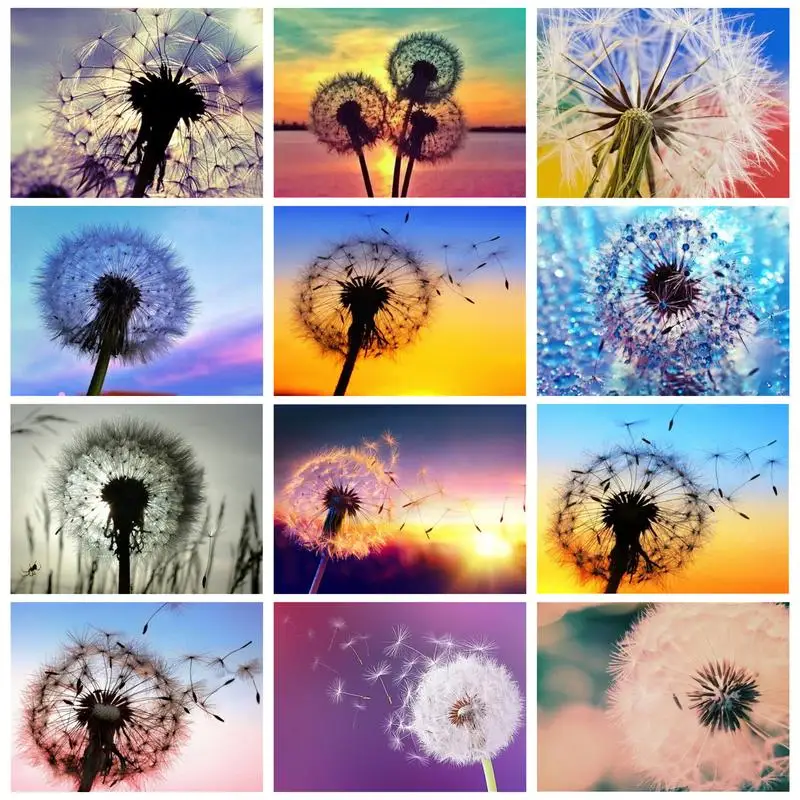 

RUOPOTY Painting By Numbers Dandelion DIY Landscape Wall Art Acrylic Canvas Home Decoration